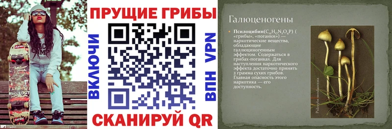 мориарти телеграм  Красный Холм  Псилоцибиновые грибы Cubensis  гидра ТОР 